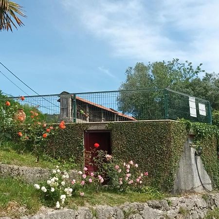 Quinta Da Penela Guest House Vieira do Minho Exterior photo