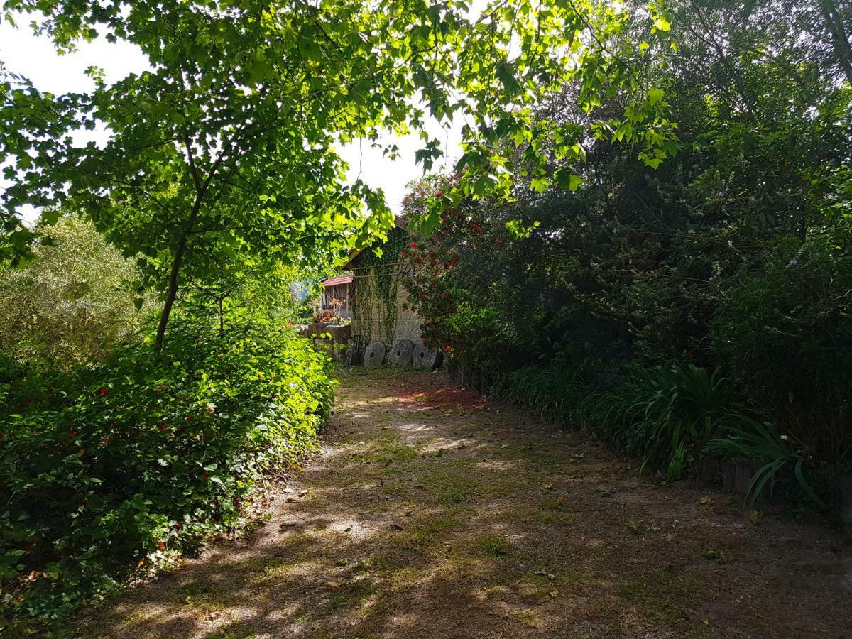 Quinta Da Penela Guest House Vieira do Minho Exterior photo
